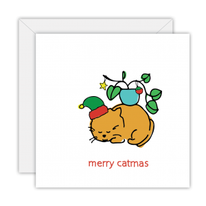 Catmas Range - Pot Plant